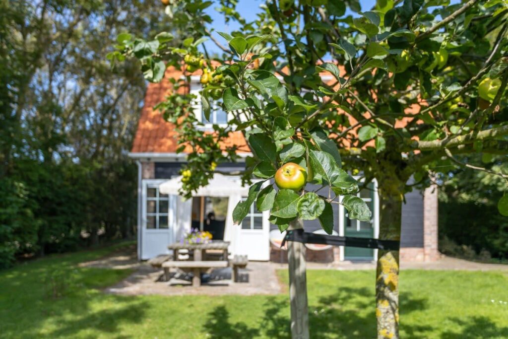 Holiday home in Westkapelle | Zeeuwse Liefde - Het Kleine Huis Main Image